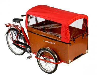 Bakfiets Cargo Trike