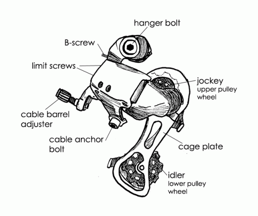 Anatomy of a rear derailleur