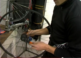bike hub adjustment