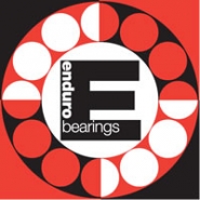Enduro bearings