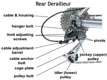 Rear Derailleur